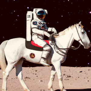 学生露出🐻让老师玩作文
